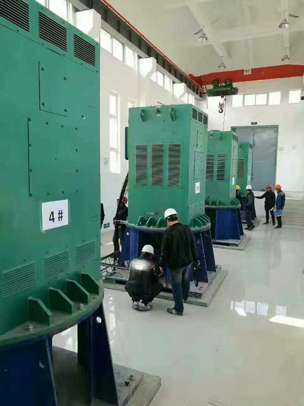 嘉禾某污水处理厂使用我厂的立式高压电机安装现场