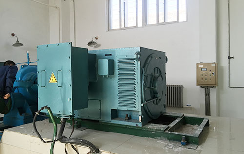 嘉禾某水电站工程主水泵使用我公司高压电机